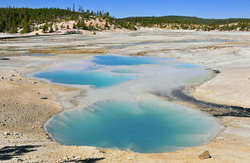 Yellowstone National Park portfolio