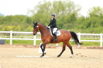 SBM_006559
