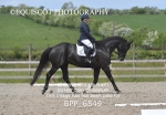 BPP_6549