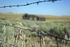 "Alone on the Range"