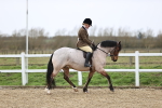 SBM_007491