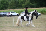 WJ7_4446