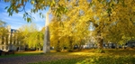Autumn in Queen Square, Bath EDC260