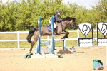 SBM_002604