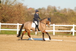 SBM_004683