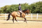 SBM_009384