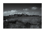 Brevard County - Merritt Island NWR