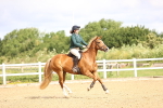 SBM_005672