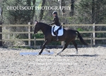 MFS NOVICE portfolio