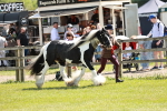 SBM_05498
