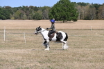 WJ6_8832