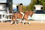 SBM_08140