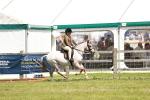 SBM_15787