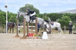 BPP_3517