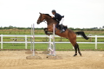 SBM_003556