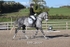BPP_8697