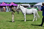 SBM_07819
