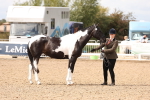 SBM_15331
