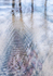 DECEMBER REFLECTIONS - LONG POINT BEACH