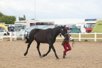 SBM_07877