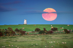 z3276 Moonrise over Ashey Down