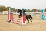 SBM_007797