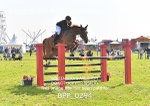 BPP_0294