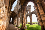 Whitby Abbey Interior 02