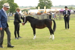 SBM_00436