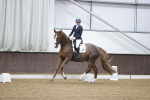 SBM_006534