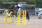 CLASS 5 SAT Senior British Novice/ 90cm Open portfolio