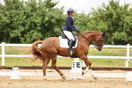 SBM_005033