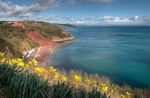 Springtime at Babbacombe Downs Torquay