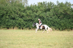 WJ6_1448