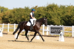 SBM_016608