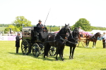SBM_06657