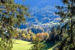 View to Church of St Stefan - Tiefencastel