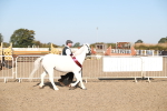 SBM_00166
