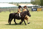 SBM_05238