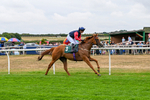 170826-Race 5-Our Absent Friends-9765