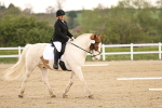 SBM_006528