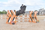 BPP_8601