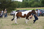 WJ6_5617