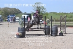BPP_1528