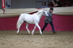 SBM_04944