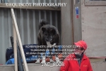 JAC_8008