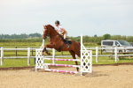 SBM_000366