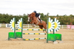 SBM_006911