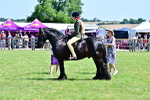 SBM_13993
