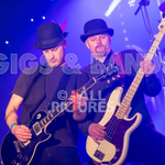 Peppered Ant Legs-169